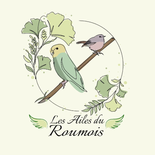 logo de l'entreprise les ailes du roumois